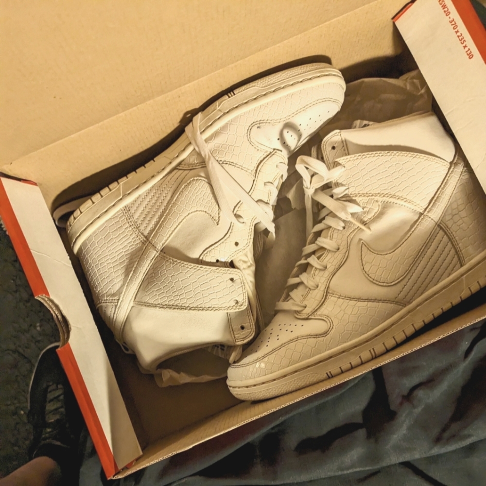Women's Nike dunk sky hi